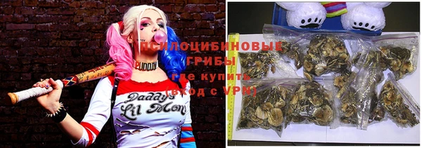 МДПВ Козловка