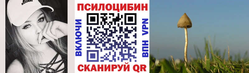 Купить где  Искитим  Псилоцибиновые грибы Psilocybine cubensis 