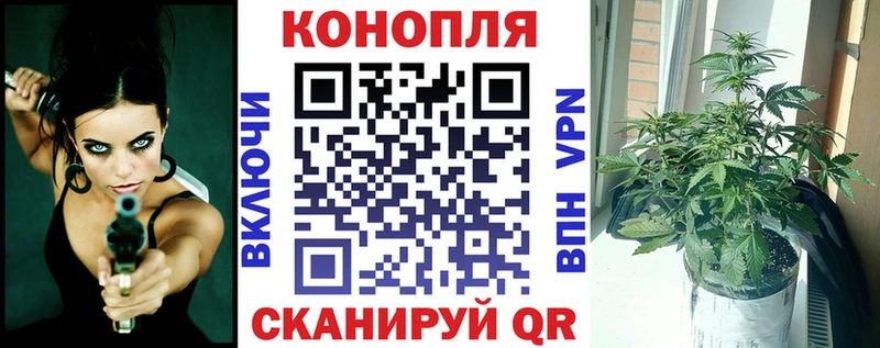 Купить  Искитим  МАРИХУАНА Amnesia 